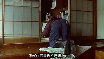 Noriko Sakai In Tears: A Lone Cow Cries At Sunrise