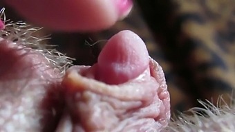 Gros Plan Intense Sur Ma Grosse Pointe De Clitoris Palpitante