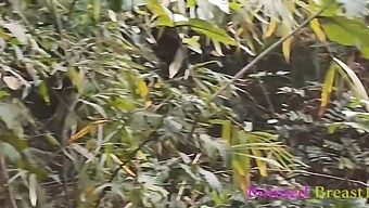 একটি গ্রামাঞ্চলে একটি উন্মাদ প্রাক্তন প্রেমিকা একটি গ্রামের মেয়েকে নতুন উচ্চতায় নিয়ে যায়। এটি খুব উত্তেজিত এবং স্পাইসি।